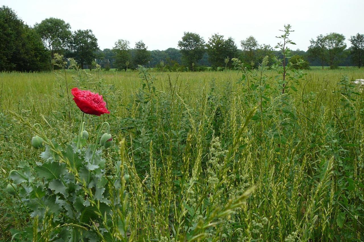 Gasterij Landschot Hoogeloon Exterior foto